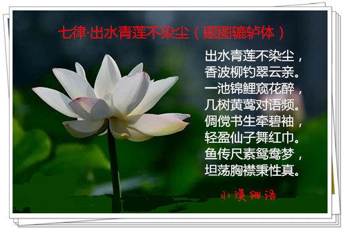 u=2322819722,137602207&amp;fm=253&amp;fmt=auto&amp;app=138&amp;f=JPEG.webp_����.jpg