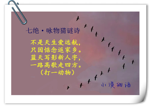 63bb2a6c0450300f838385cefc35ff0d_����.jpg