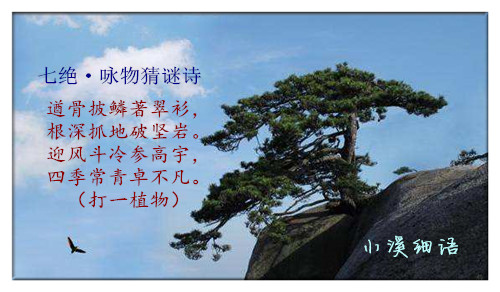 07a529382963708dfe0d706a7fb4eda3_����.jpg