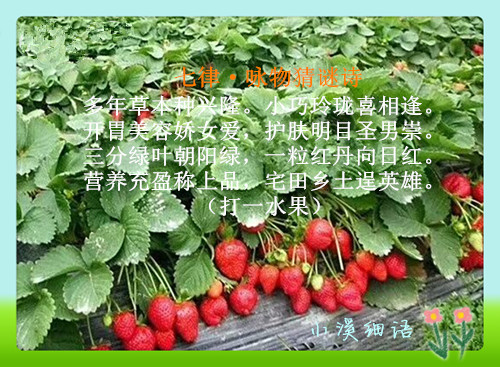 947fe67c30838e1443f5a85de7aa31b2_����.jpg