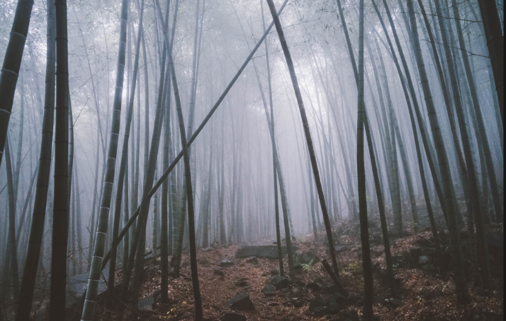 ΢��ͼƬ_20260104105256_225_5.png