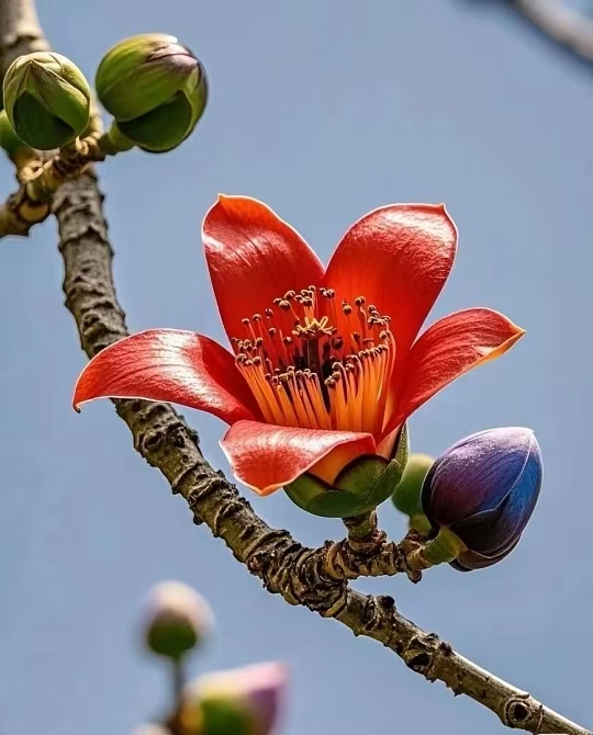 a63c5680331e6b4fdf3e5354ddaa42d9.jpg